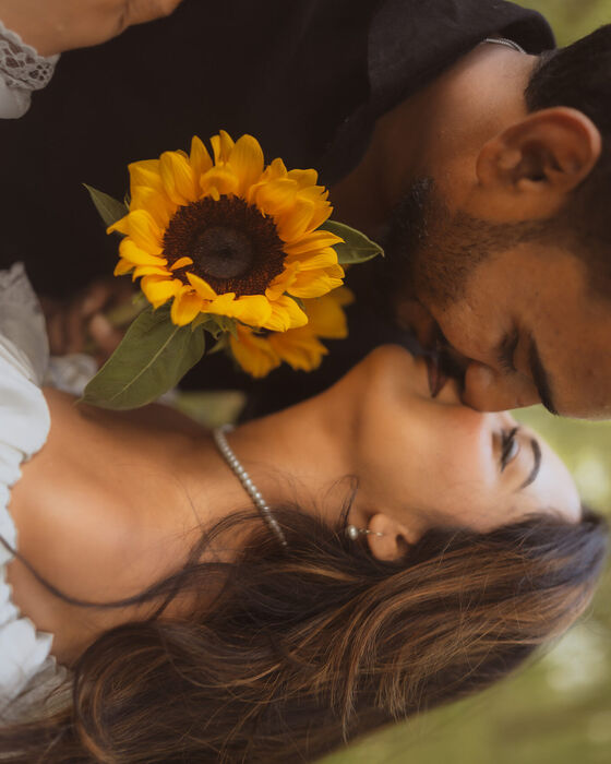 Kiss with a sunflower
